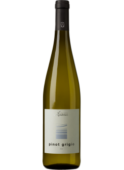Вино Cantina Andrian Pinot Grigio DOC (Кантіна Андріан Піно Гріджо)